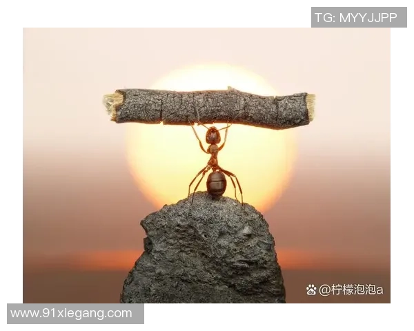 极限运动的热血人生赵磊分享他的挑战与梦想